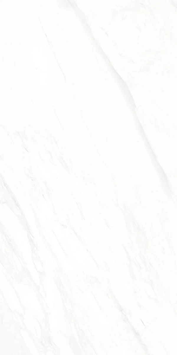 Mặt gạch BM-B61201P1 — góc 4 — 600x1200mm